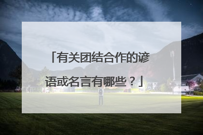 有关团结合作的谚语或名言有哪些?