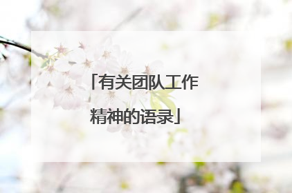 有关团队工作精神的语录