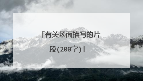 有关场面描写的片段(200字)
