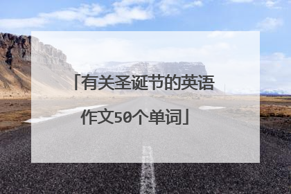 有关圣诞节的英语作文50个单词