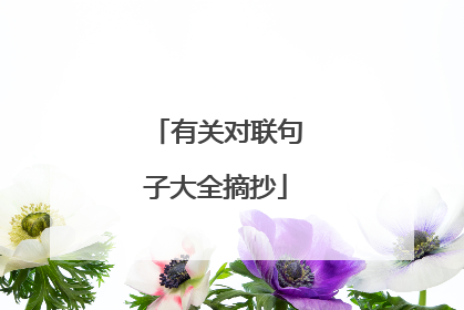 有关对联句子大全摘抄