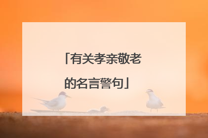 有关孝亲敬老的名言警句