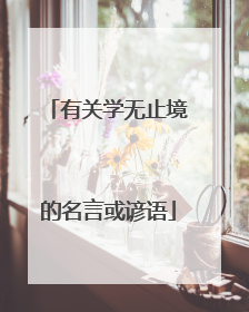 有关学无止境的名言或谚语