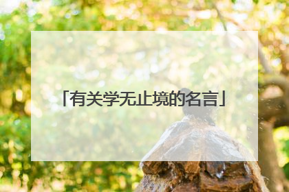 有关学无止境的名言