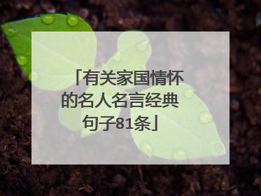 有关家国情怀的名人名言经典句子81条