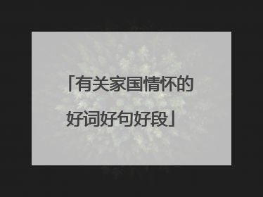 有关家国情怀的好词好句好段