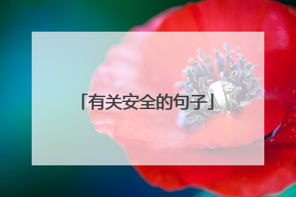 有关安全的句子