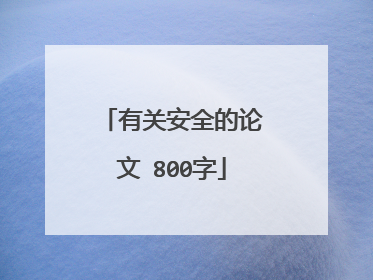 有关安全的论文 800字