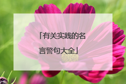 有关实践的名言警句大全