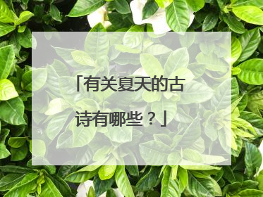 有关夏天的古诗有哪些?