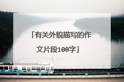 有关外貌描写的作文片段100字