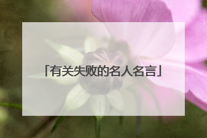 有关失败的名人名言