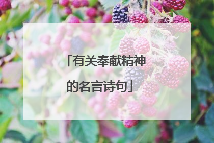 有关奉献精神的名言诗句