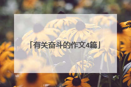 有关奋斗的作文4篇