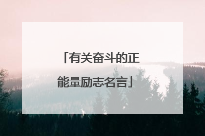 有关奋斗的正能量励志名言