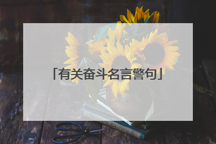 有关奋斗名言警句