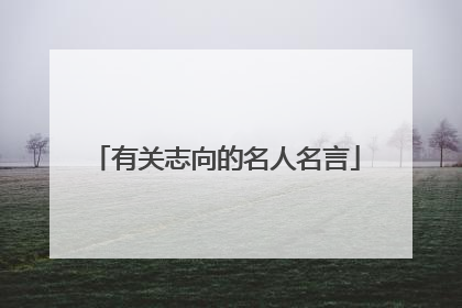有关志向的名人名言