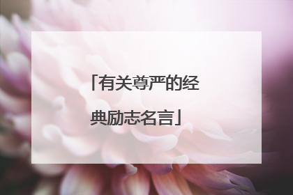 有关尊严的经典励志名言
