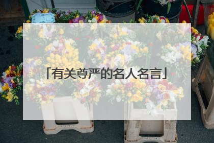 有关尊严的名人名言
