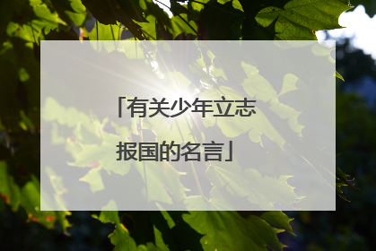 有关少年立志报国的名言