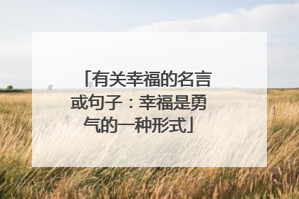 有关幸福的名言或句子：幸福是勇气的一种形式