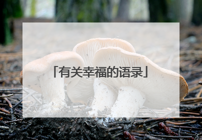 有关幸福的语录