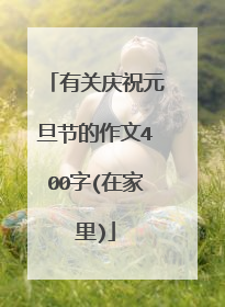 有关庆祝元旦节的作文400字(在家里)