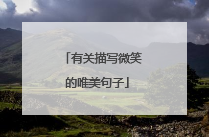 有关描写微笑的唯美句子