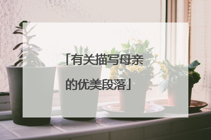 有关描写母亲的优美段落