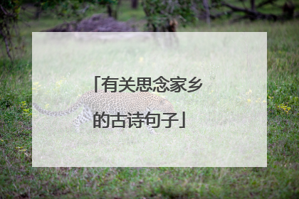 有关思念家乡的古诗句子