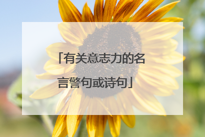 有关意志力的名言警句或诗句