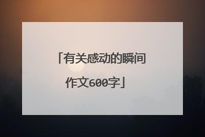 有关感动的瞬间作文600字