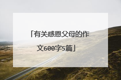 有关感恩父母的作文600字5篇