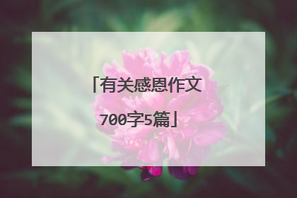有关感恩作文700字5篇