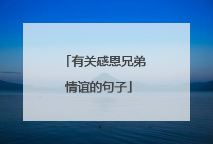 有关感恩兄弟情谊的句子