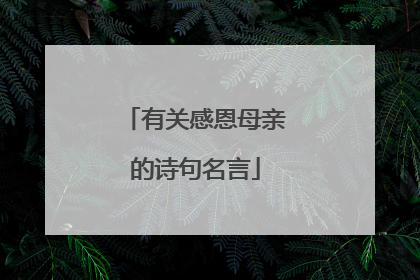 有关感恩母亲的诗句名言