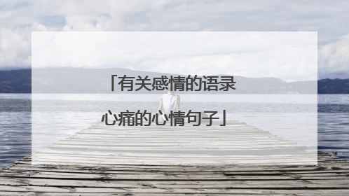 有关感情的语录心痛的心情句子