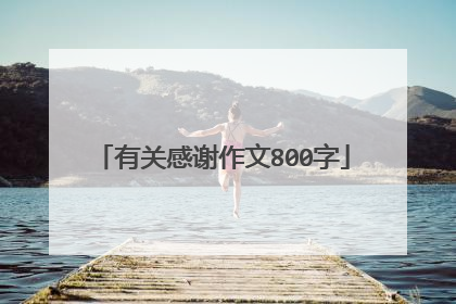 有关感谢作文800字