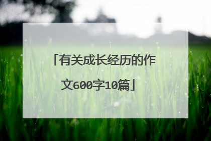 有关成长经历的作文600字10篇