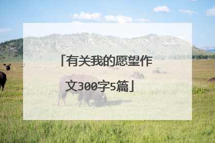 有关我的愿望作文300字5篇