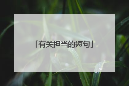 有关担当的短句