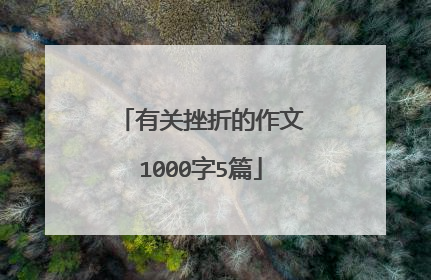 有关挫折的作文1000字5篇