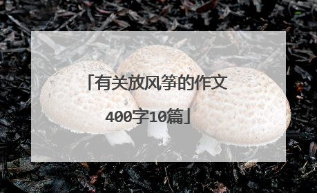 有关放风筝的作文400字10篇