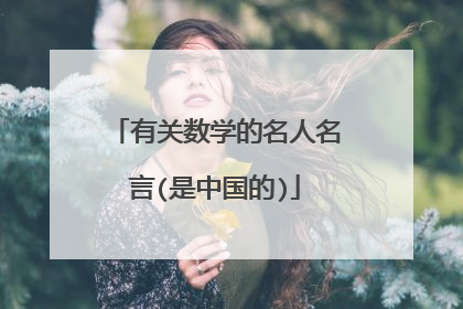 有关数学的名人名言(是中国的)