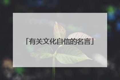 有关文化自信的名言