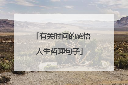 有关时间的感悟人生哲理句子