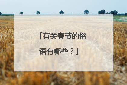 有关春节的俗语有哪些？