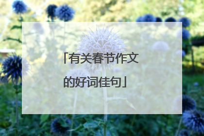 有关春节作文的好词佳句