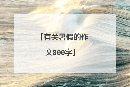 有关暑假的作文800字