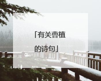 有关曹植的诗句